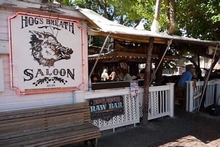 These bar webcams are located at the Hogs Breath Saloon in Key West, Florida. . Hogs breath webcam
